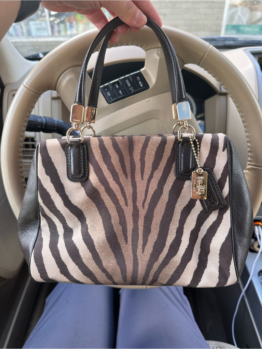 Coach Zebra-Print Satchel in Black & Taupe